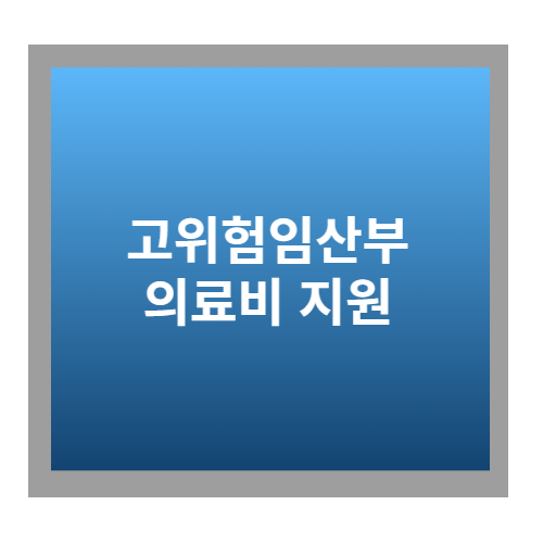 고위험 임산부 의료비 지원