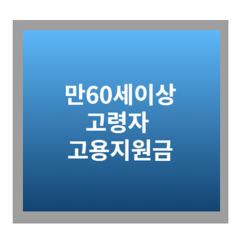 고령자 고용지원금